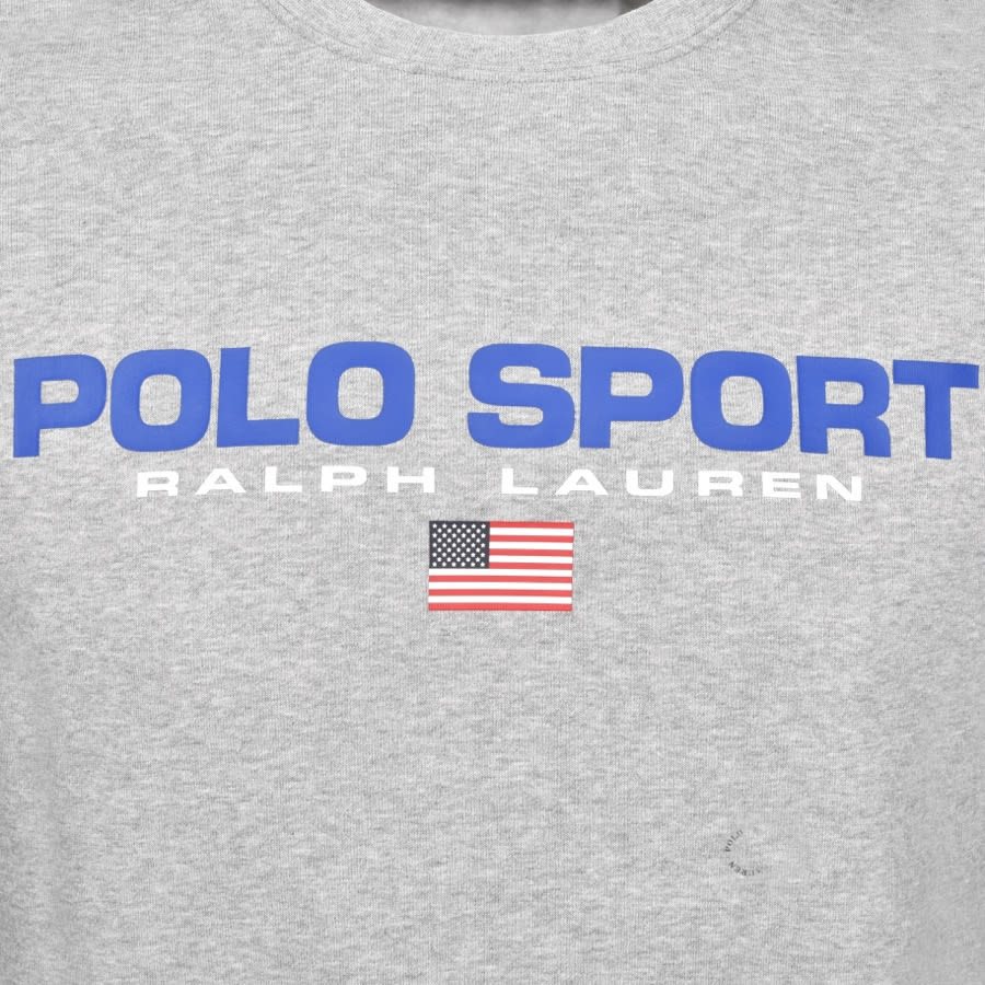 Alternative Image for ProductRalph Lauren Polo Sport Knit Jumper Grey3